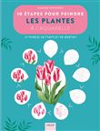 10 étapes pour peindre les plantes à l'aquarelle