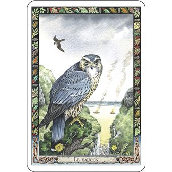 L'oracle des druides