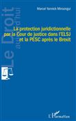 La protection juridictionnelle par la Cour de justice dans l'ELSJ et la PESC après le Brexit