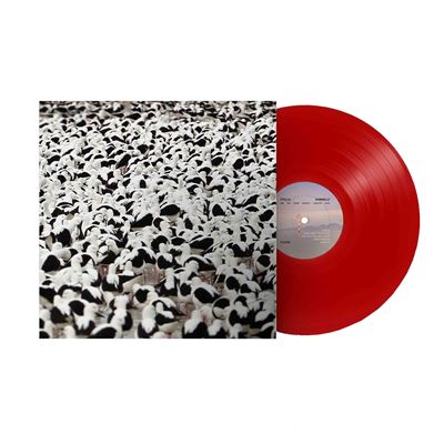 Flood Vinyle Rouge Opaque