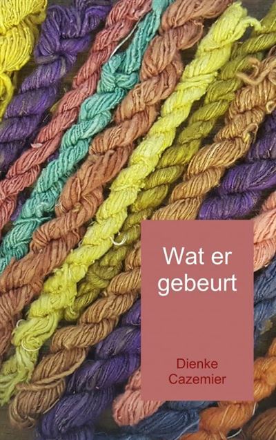 Wat er gebeurt