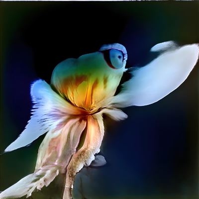 Blue Garden