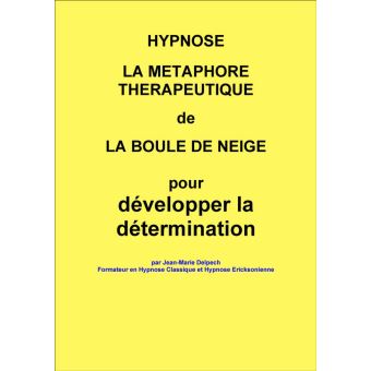 La métaphore de la boule de neige - ePub - Jean-Marie ...