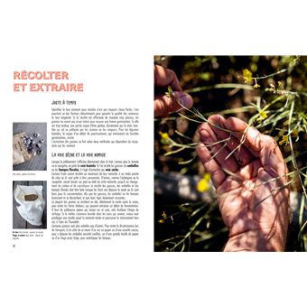 Récolter et semer ses graines potagères