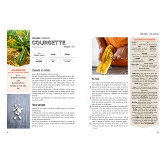 Récolter et semer ses graines potagères