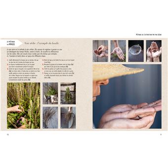 Récolter et semer ses graines potagères