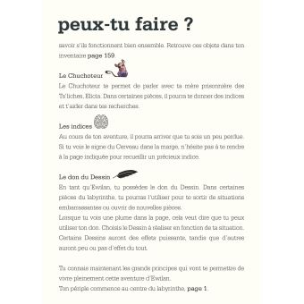 Escape ! Le Labyrinthe du mercenaire