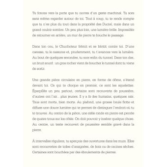 Escape ! Le Labyrinthe du mercenaire