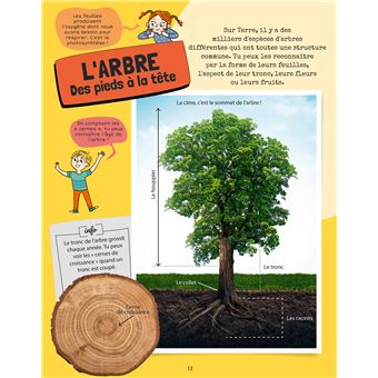 Je sais reconnaître les arbres