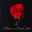 Lp-silence in the secret garden
