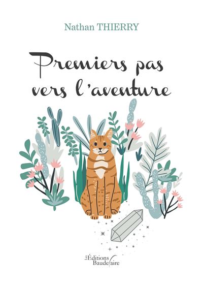 Premiers pas vers l'aventure