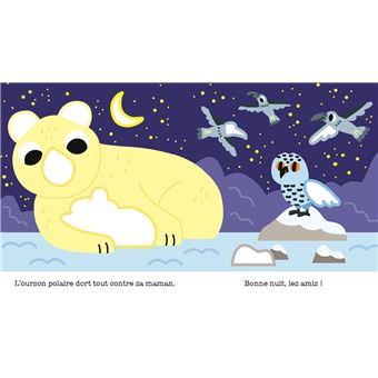 Les animaux de la banquise