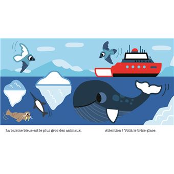 Les animaux de la banquise