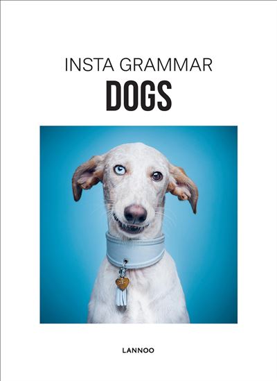 Instagrammar Dogs