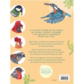 10 étapes pour peindre les oiseaux à l'aquarelle