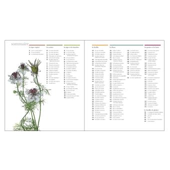 Flora - Un fascinant voyage au coeur du monde végétal