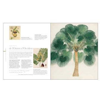 Flora - Un fascinant voyage au coeur du monde végétal