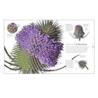 Flora - Un fascinant voyage au coeur du monde végétal