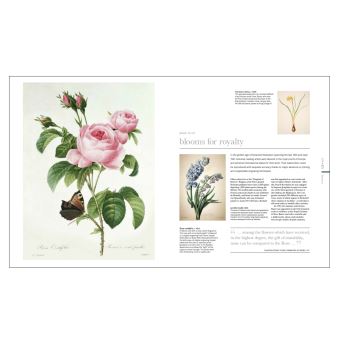 Flora - Un fascinant voyage au coeur du monde végétal