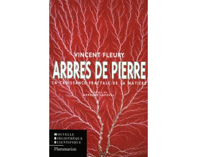 Arbres de pierre la croissance fractale de la matiere