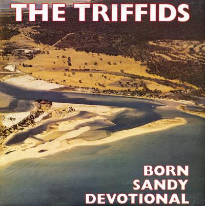 Born Sandy Devotional (LP+MP3)