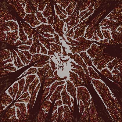 Crown Shyness Vinyle coloré