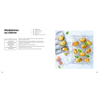 100 recettes sans viande ni poisson