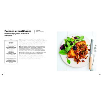 100 recettes sans viande ni poisson