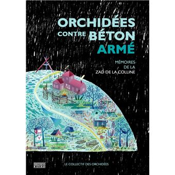 Orchidées contre béton armé