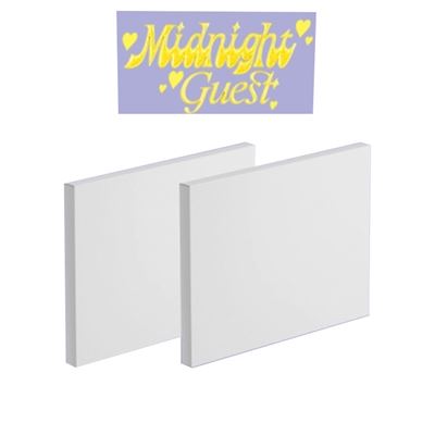 Midnight Guest