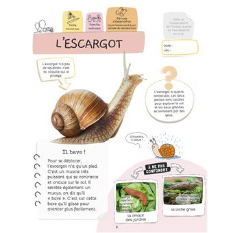 Je sais reconnaître les petites bêtes