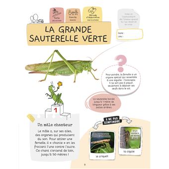 Je sais reconnaître les petites bêtes