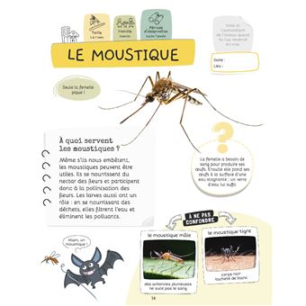 Je sais reconnaître les petites bêtes
