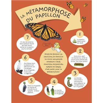 Je sais reconnaître les petites bêtes