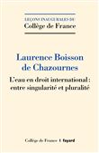 L'eau en droit international : entre singularité et pluralité