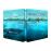 The Shallows instinct de survie Steelbook Blu-ray_1