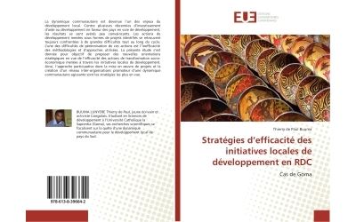 Strategies d'efficacite des initiatives locales de developpe