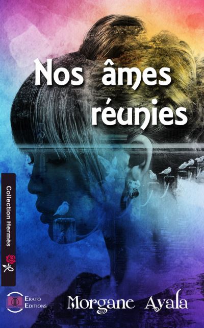 Saga Nos âmes réunies tome 1 -se rencontrer
