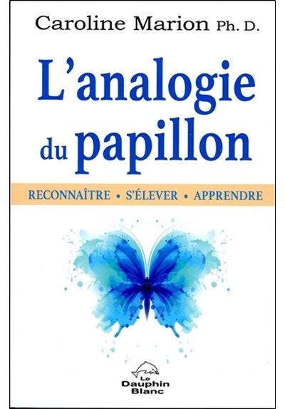 L'analogie du papillon Reconnaître S'élever Apprendre
