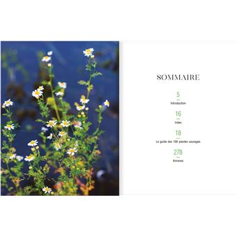 Le Guide des plantes sauvages - 100 plantes essentielles aux vertus bienfaisantes