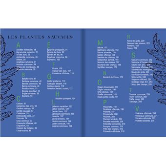 Le Guide des plantes sauvages - 100 plantes essentielles aux vertus bienfaisantes
