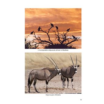 Les safaris d'Hideko et François