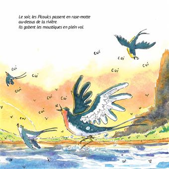 Méli-Mélo Chez Les Oiseaux