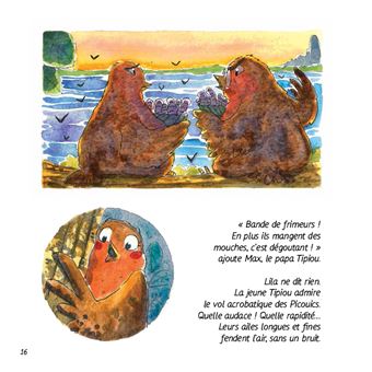 Méli-Mélo Chez Les Oiseaux