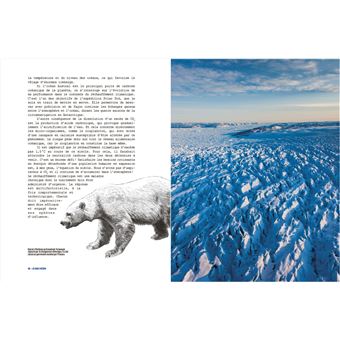 Touche pas à ma mer