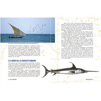 Touche pas à ma mer