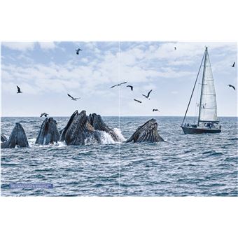 Touche pas à ma mer