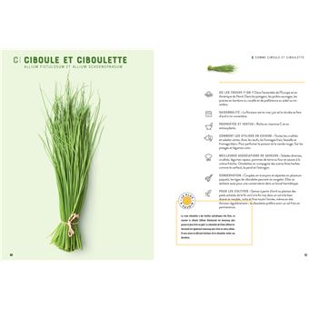 Répertoire des herbes aromatiques