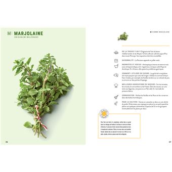 Répertoire des herbes aromatiques