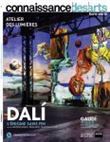Dali l enigme sans fin